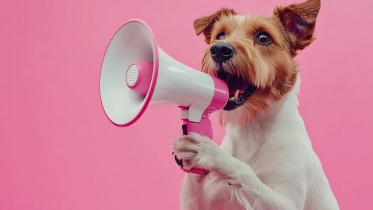 Dog with a megaphone voice pink