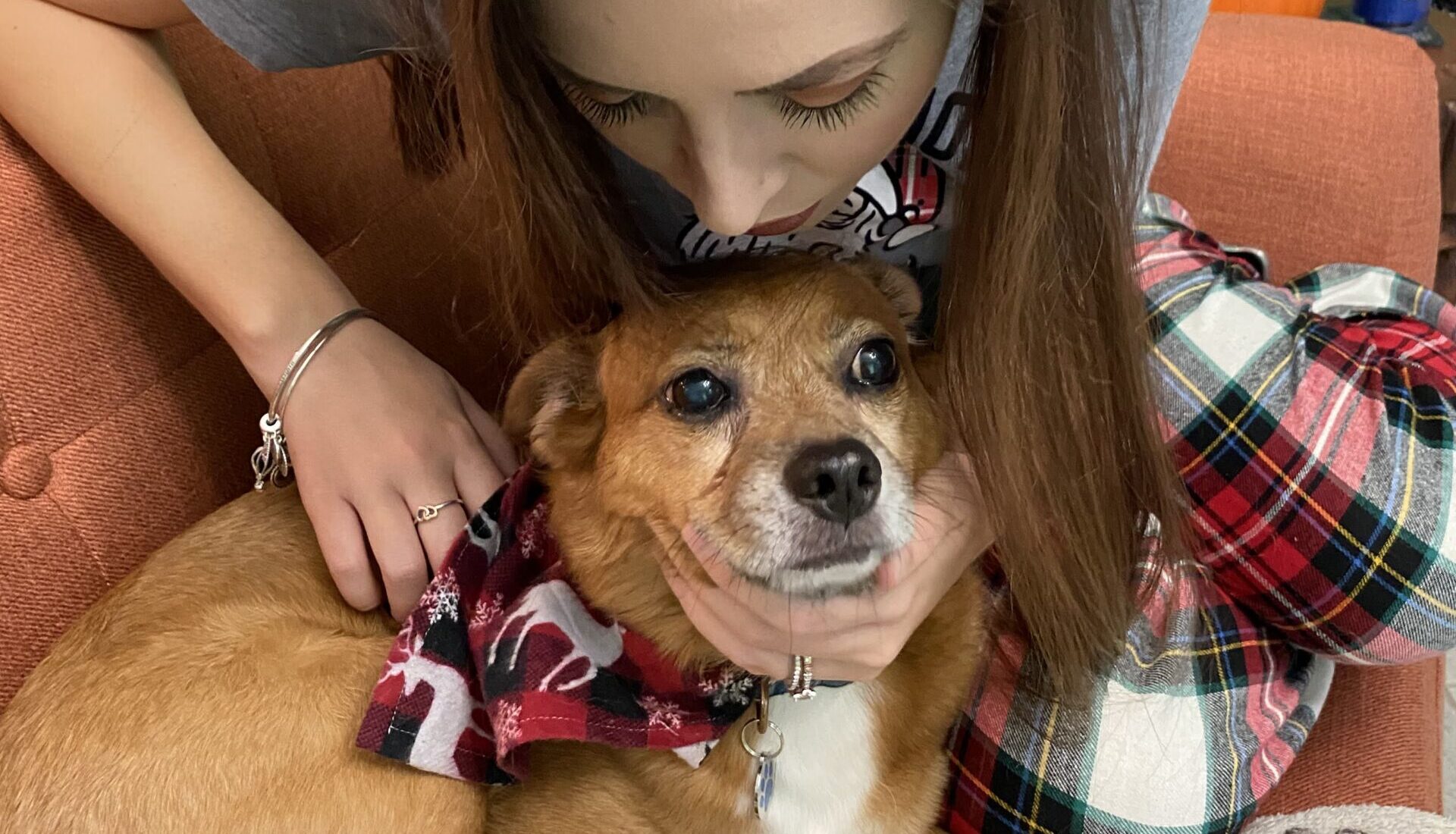 Grief showing up in the holidays - Devotional 23