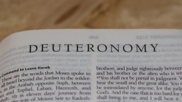 Women studying Deuteronomy Bible verses in a group setting.